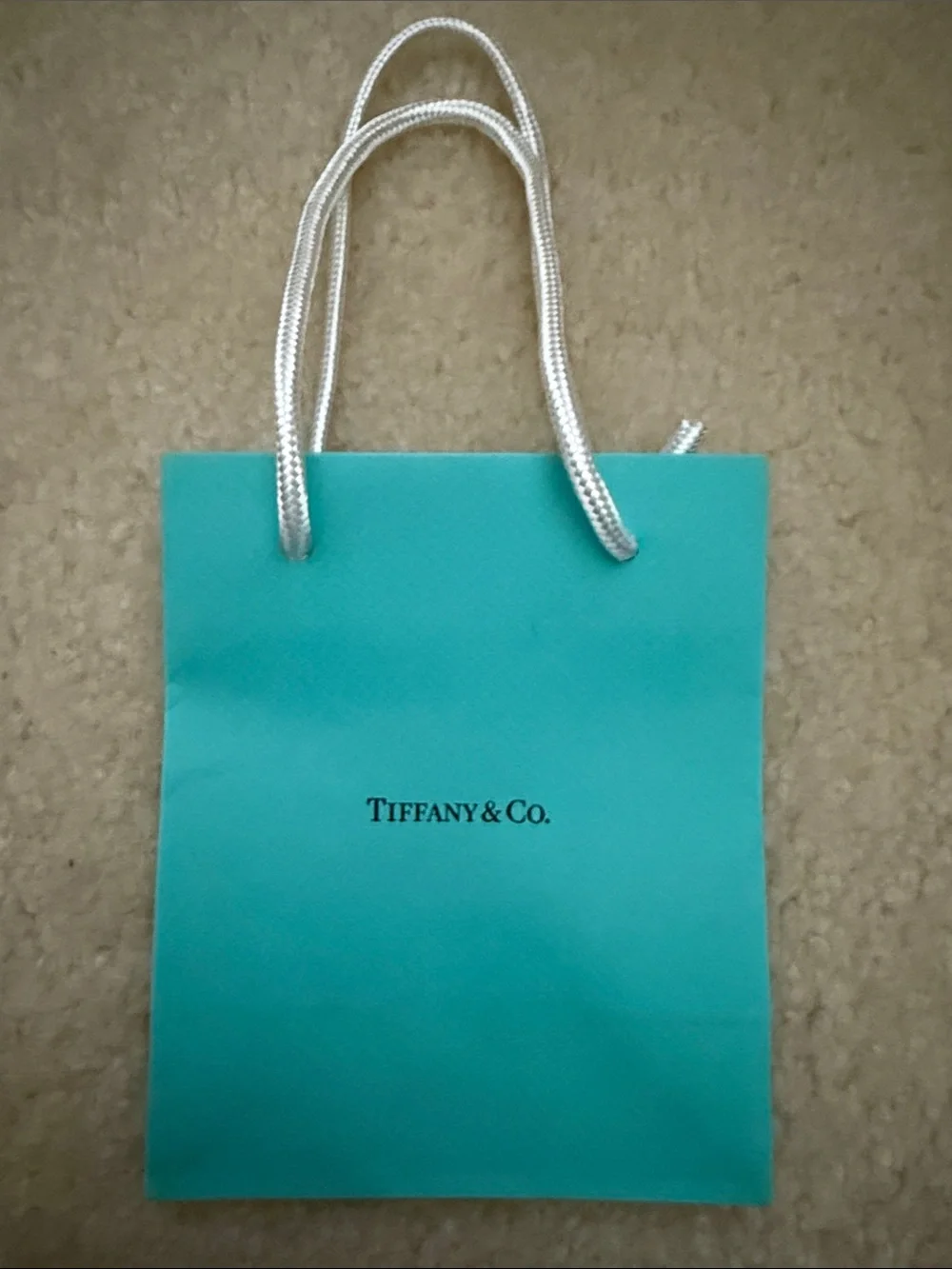 Small Tiffany & Co. shopping bag